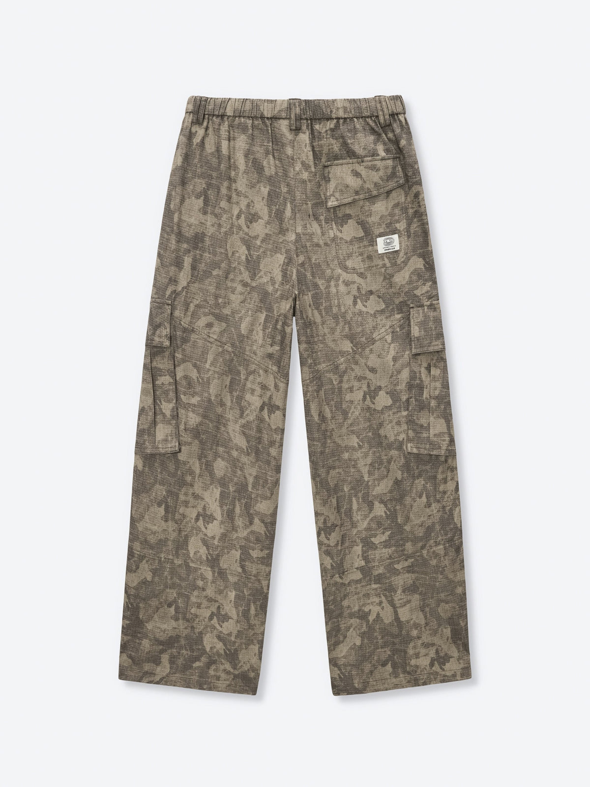 CAMO CARGO PANTS - DESERT