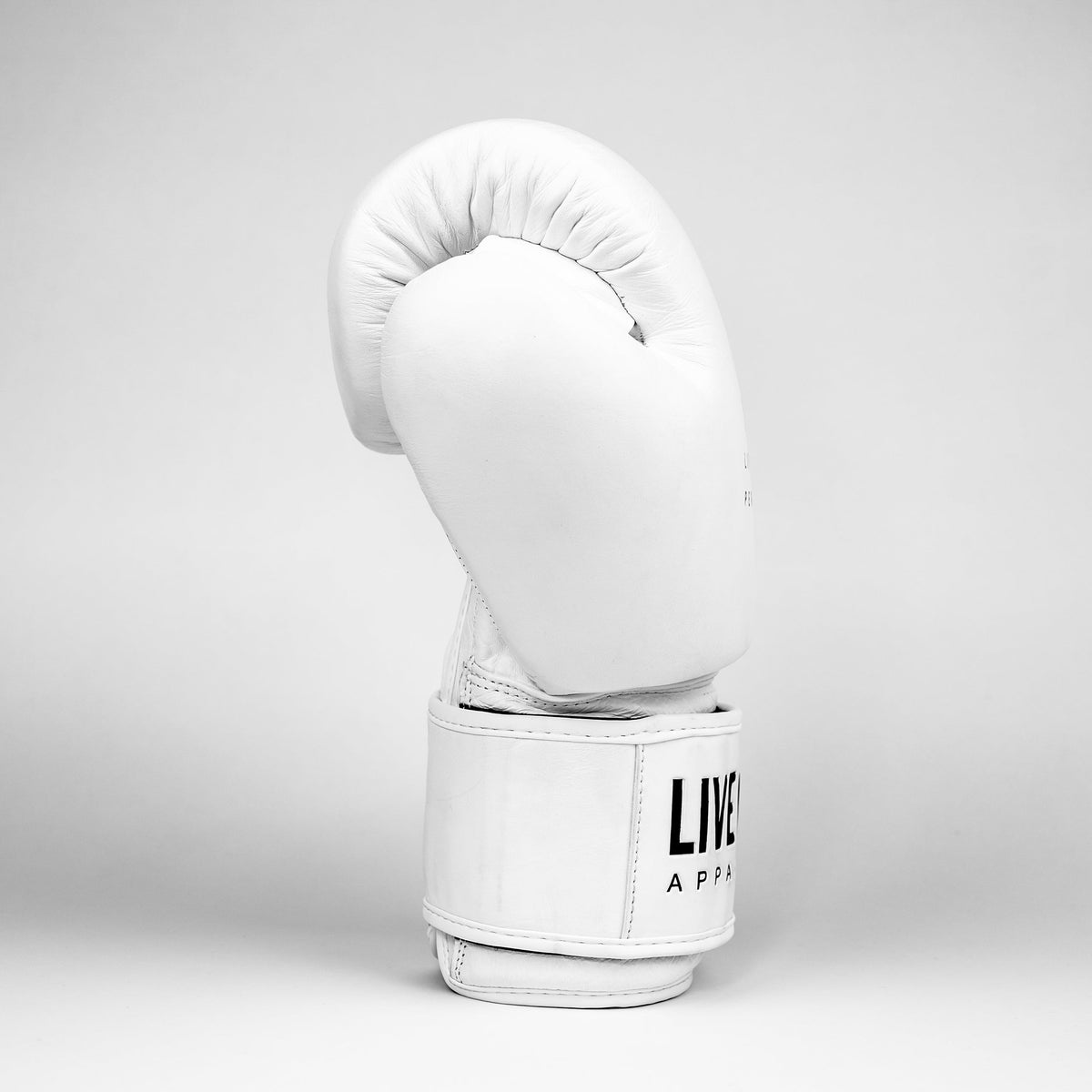Boxing Gloves - All White Premiums