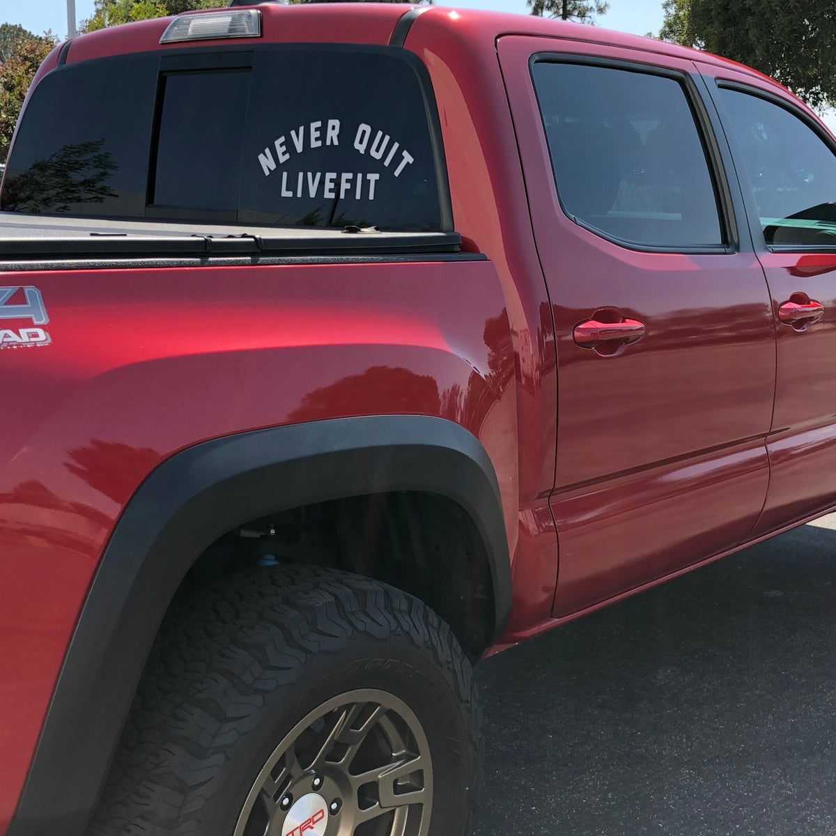 15.5" Never Quit Decal