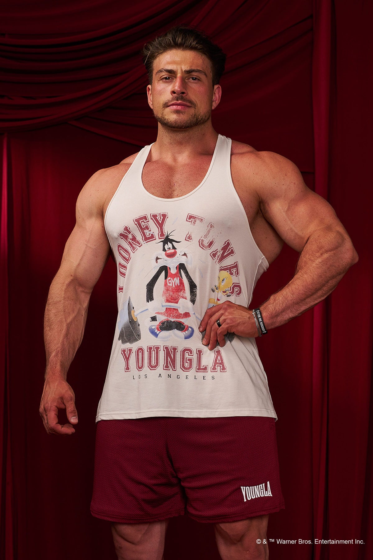 3078 - Looney Tunes Stringers